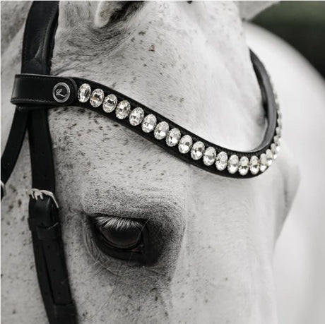 Lumiere 2024 Collection Diva Cavesson Bridle