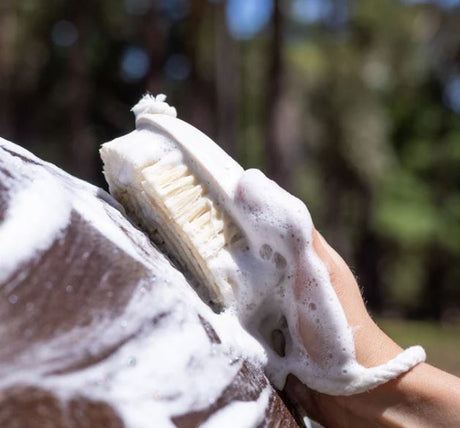 Hairy Pony Essential Wash Bay Kit