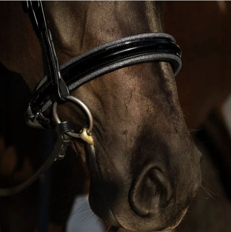 Lumiere 2025 Saphira Cavesson Bridle