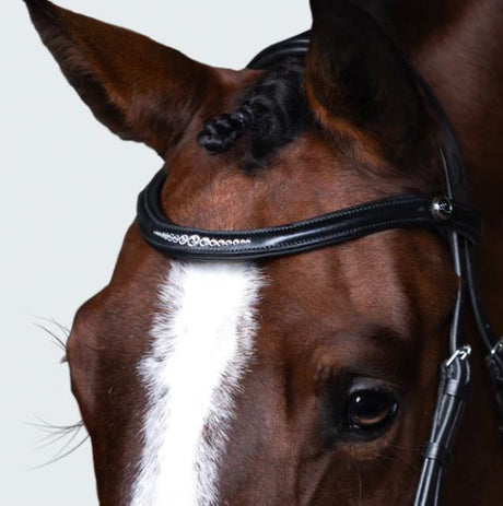 Lumiere 2025 Stella Bridle