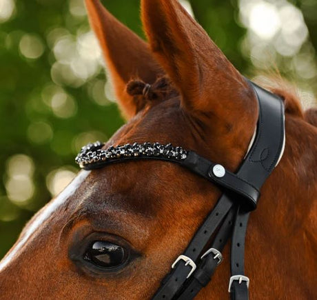 Lumiere 2025 Sibella Hanoverian Bridle