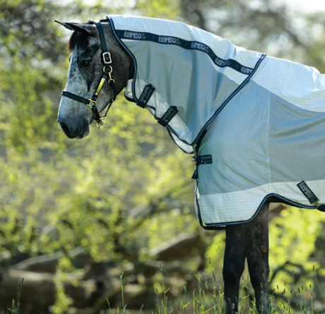 TOP 5 SUMMER MUST HAVES FOR YOUR HORSE