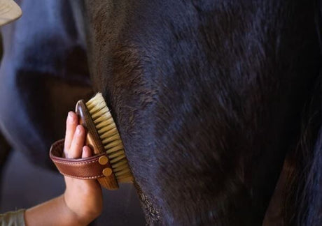 TOP 5 WINTER GROOMING MUST HAVES FROM HAIRY PONY