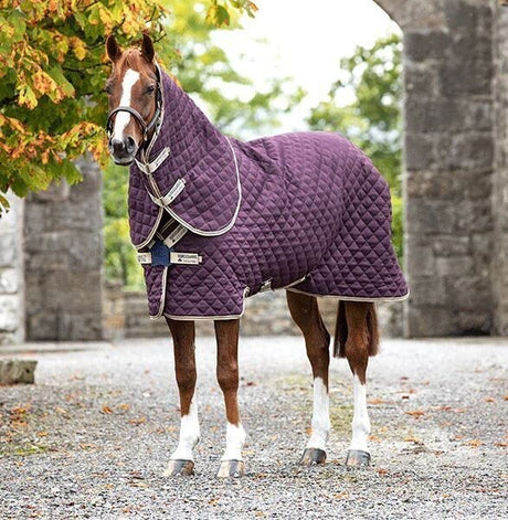 TOP 5 WINTER HORSE RUGS