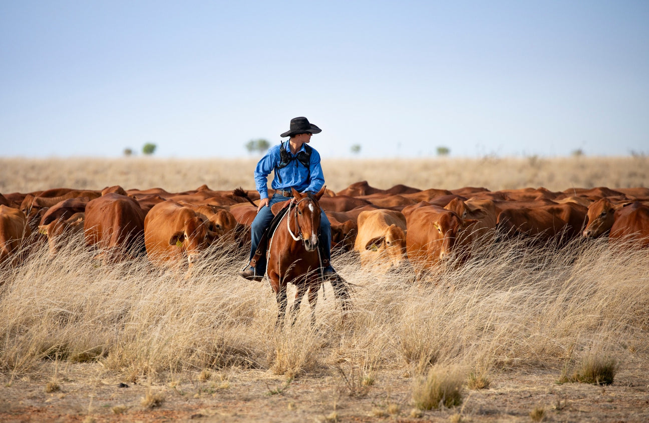 Ariat Spring/Summer 24