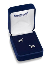 Montana Silversmith AQHA Earrings