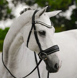 NEW Lumiere 2024 Collection Diva Cavesson Bridle