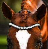 NEW Lumiere 2024 Collection Browbands