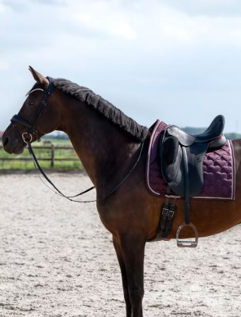 PS of Sweden FW24 Heart Saddle Pad