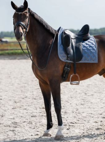 PS of Sweden FW24 Heart Saddle Pad