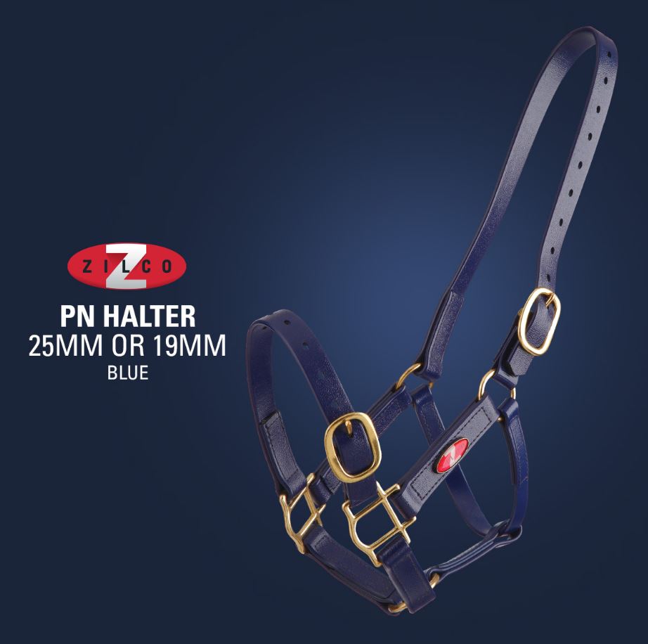 Zilco 25mm PN Halter