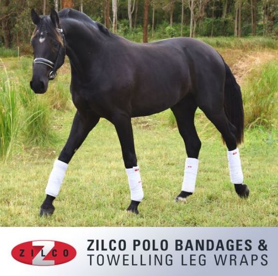 Zilco Polo Bandages