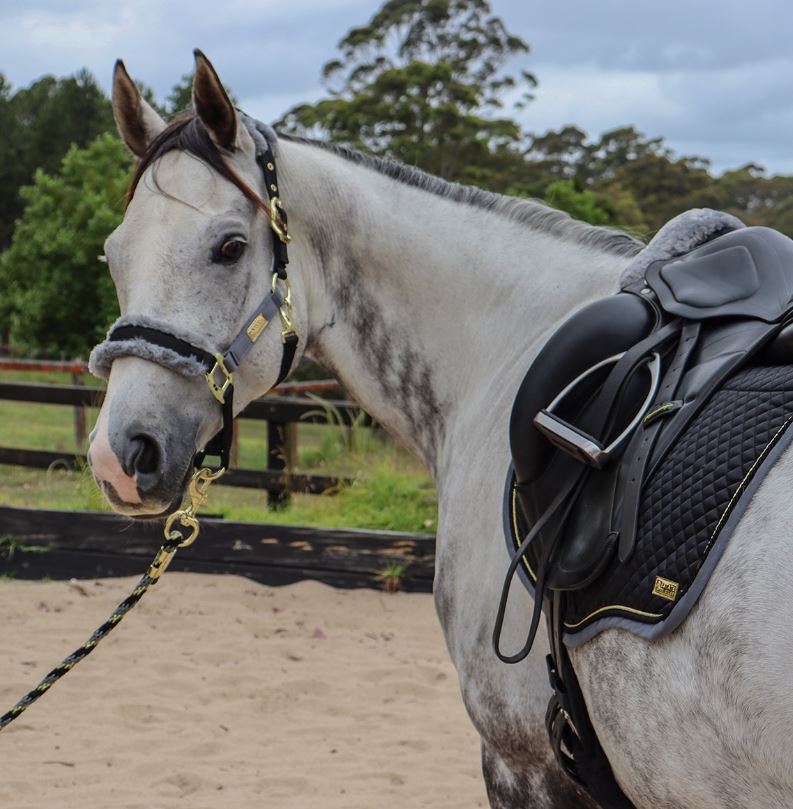 Zilco Estate Fleece Halter