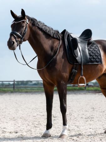 PS of Sweden FW24 Heart Saddle Pad