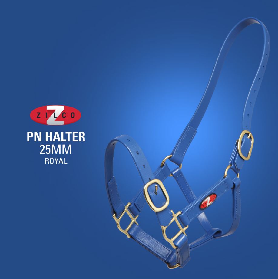 Zilco 25mm PN Halter