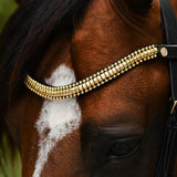 NEW Lumiere 2024 Collection Browbands