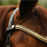 NEW Lumiere 2024 Collection Browbands