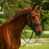 NEW Lumiere 2024 Collection Delta Cavesson Bridle