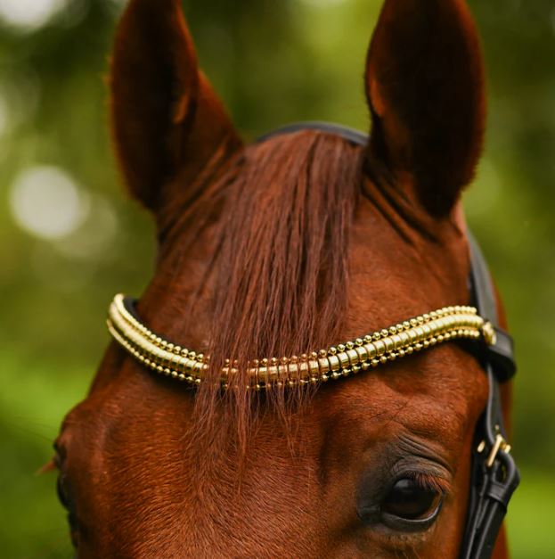 NEW Lumiere 2024 Collection Browbands