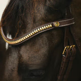 NEW Lumiere 2024 Collection Dallas Bridle