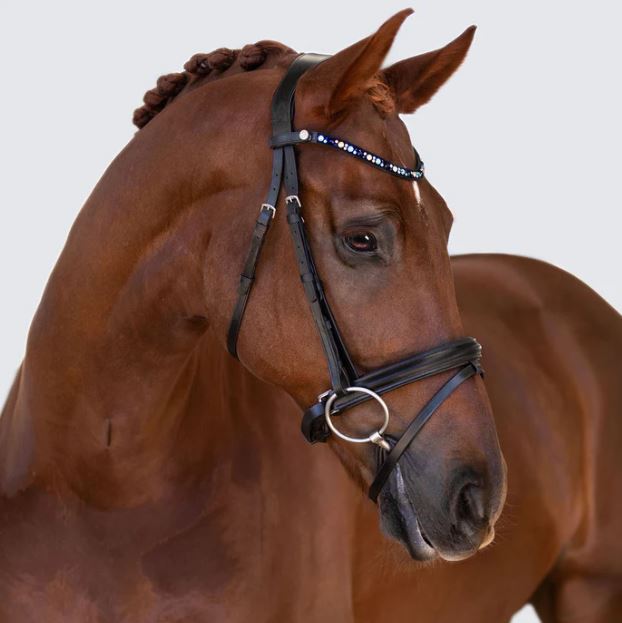 NEW Lumiere 2024 Collection Browbands