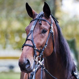 Finntack Complete Beta Bridle Pro