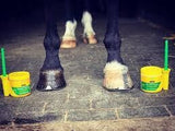 Effol Summer Hoof Gel