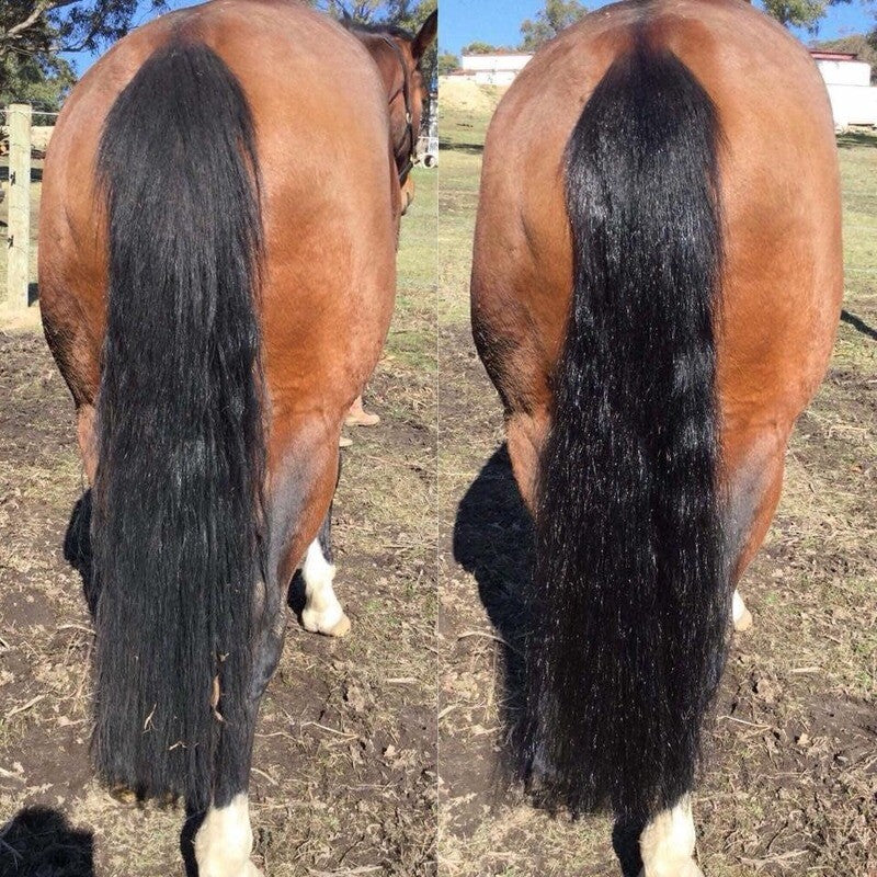 Hairy Pony 2 in 1 Detangler & Shine