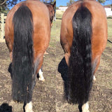 Hairy Pony 2 in 1 Detangler & Shine