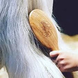 Hairy Pony Brush Kit