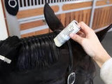 Hairy Pony Taming Wax