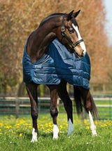 Horseware Liner