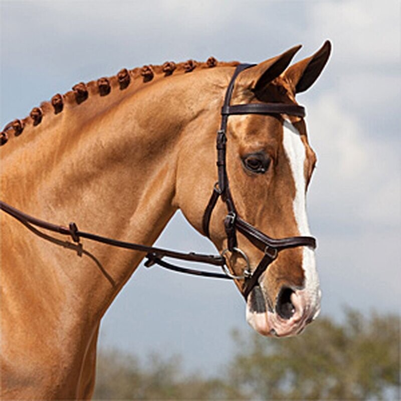 Horseware Rambo Micklem Original Competition Bridle