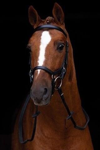 Horseware Rambo Micklem Original Competition Bridle