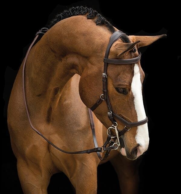 Horseware Rambo Micklem Original Competition Bridle