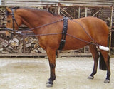 Horze Lunging Aid