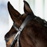 Horze Prescott Figure 8 Bridle