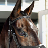 Horze Prescott Figure 8 Bridle