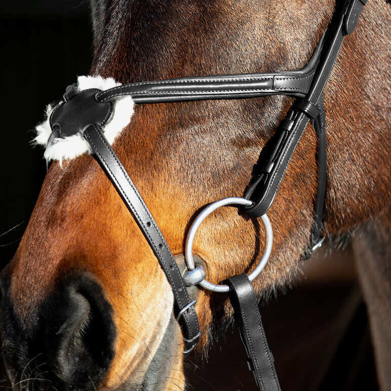 Horze Prescott Figure 8 Bridle