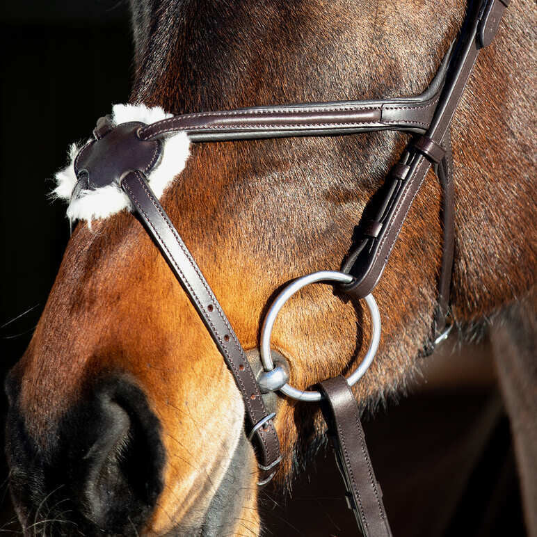 Horze Prescott Figure 8 Bridle