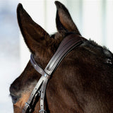 Horze Prescott Figure 8 Bridle