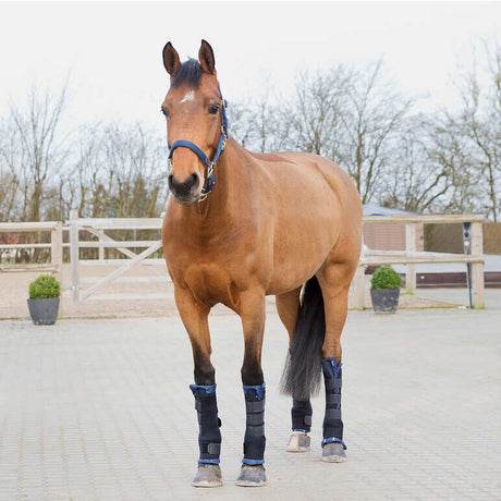 Horze Stable Boots