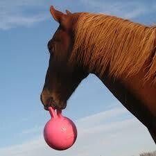 Horseman's Pride Jolly Ball