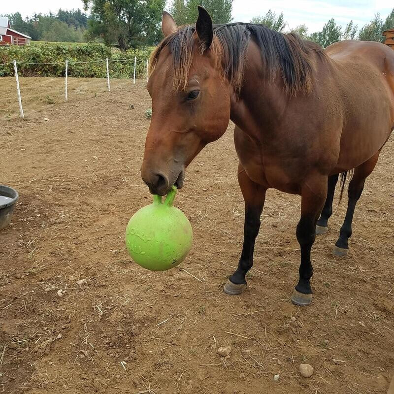 Horseman's Pride Jolly Ball