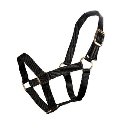 Piccolo Mini Horse Halter