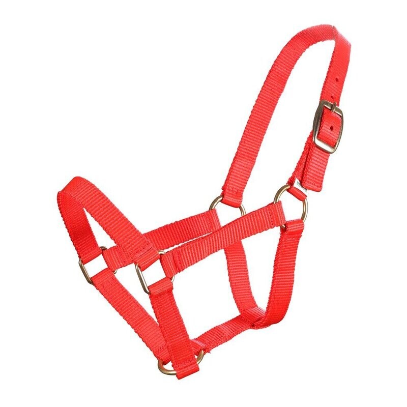 Piccolo Mini Horse Halter