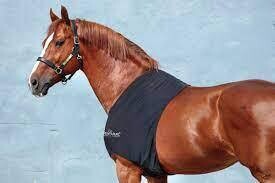 Horseware Rambo Slinky Shoulder