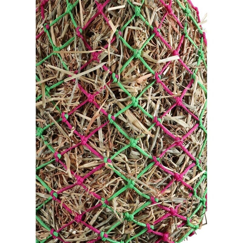 Vivid Slow Feed Poly Hay Net