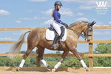 Woof Wear Vision Dressage Pad