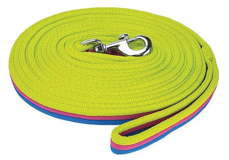 Zilco Brite Lunge Lead